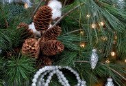 New Year arrangement with Dutch pine "Silver Winter" — photo 3