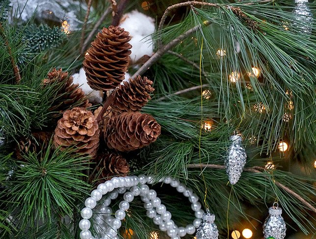 New Year arrangement with Dutch pine "Silver Winter" photo