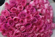 101 Розовая роза 50 см — фото 5