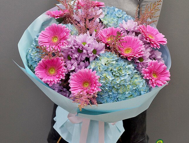 Bouquet of blue hydrangeas, pink gerberas, and chrysanthemums photo