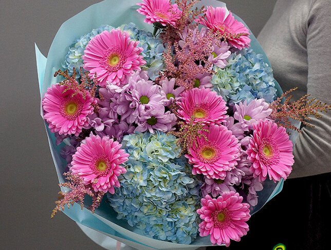 Bouquet of blue hydrangeas, pink gerberas, and chrysanthemums photo