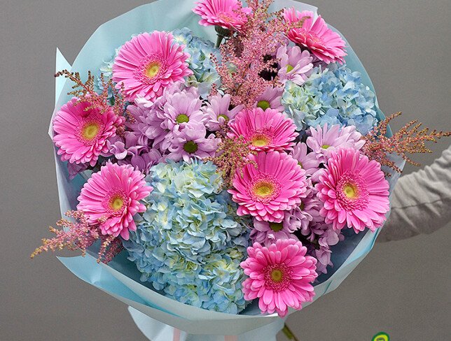 Bouquet of blue hydrangeas, pink gerberas, and chrysanthemums photo