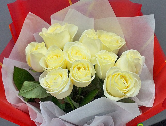 Bouquet of 11 white roses 60 cm photo