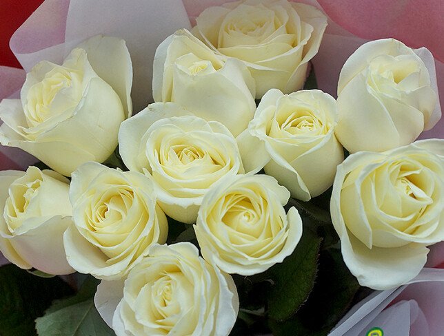 Bouquet of 11 white roses 60 cm photo