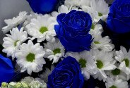 Букет из синих роз и белых хризантем — фото 3