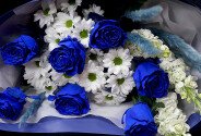 Букет из синих роз и белых хризантем — фото 5