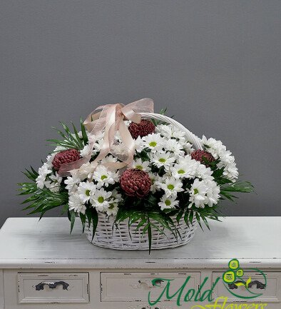 Basket of daisy chrysanthemums and pompon chrysanthemums photo 394x433