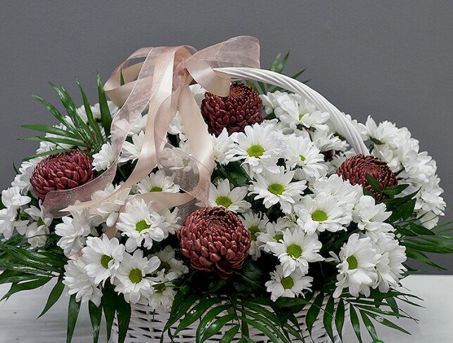 Basket of daisy chrysanthemums and pompon chrysanthemums photo