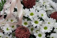 Basket of daisy chrysanthemums and pompon chrysanthemums — photo 3