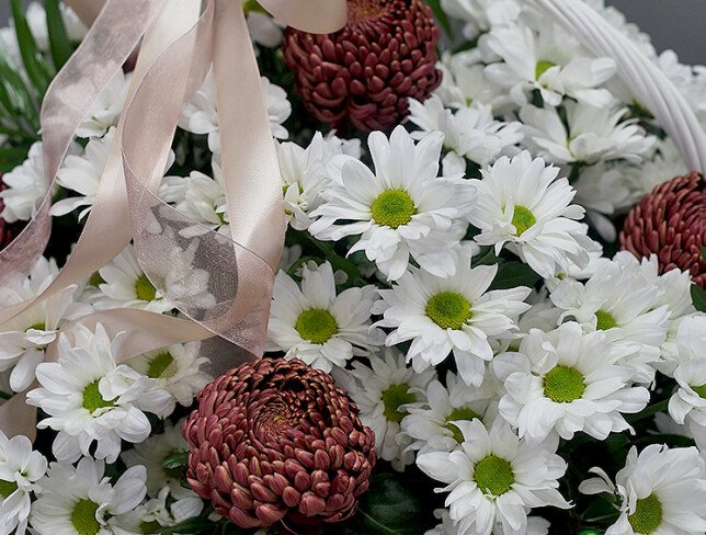 Basket of daisy chrysanthemums and pompon chrysanthemums photo