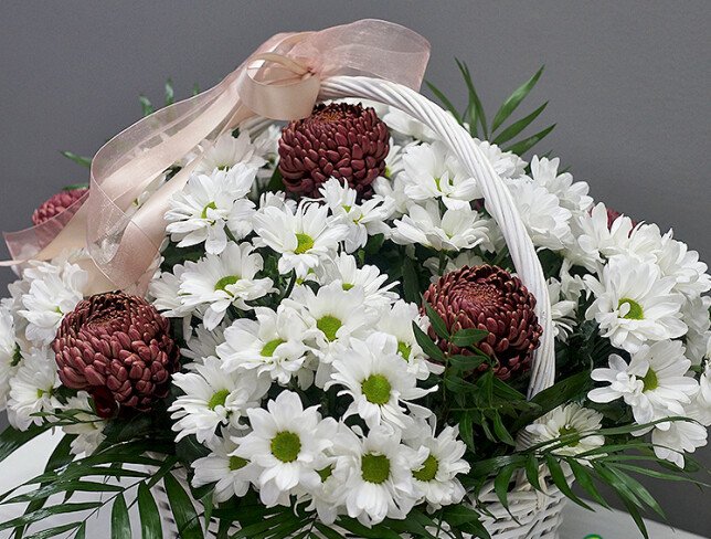 Basket of daisy chrysanthemums and pompon chrysanthemums photo
