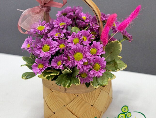 Mini basket with pink chrysanthemums photo