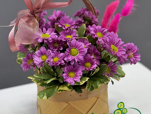 Mini basket with pink chrysanthemums photo