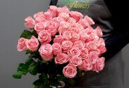 Trandafir „Sophia Loren” 50 cm — foto 2