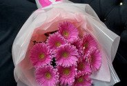 Букет из 11 розовых гербер — фото 5