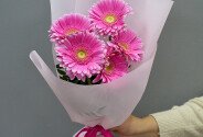 Bouquet of 5 pink gerberas — photo 1