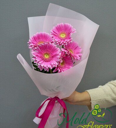 Bouquet of 5 pink gerberas photo 394x433