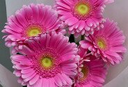 Bouquet of 5 pink gerberas — photo 2