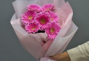 Buchet din 7 gerbere roz — foto 1