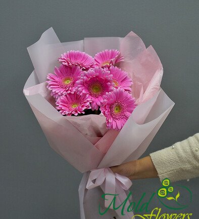 Buchet din 7 gerbere roz foto 394x433