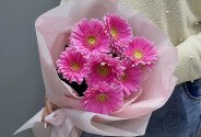 Buchet din 7 gerbere roz — foto 4