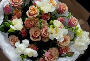 Buchet cu trandafiri spray "Antigua" 60 cm si frezii albe — foto 2
