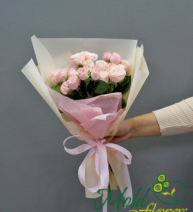 Buchet din 7 trandafiri spray "Bombastic" 40 cm foto 394x433
