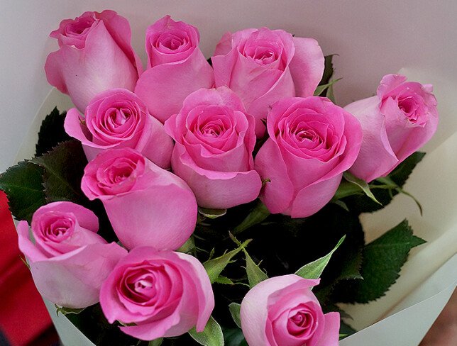 Bouquet of 11 pink roses, 50 cm photo