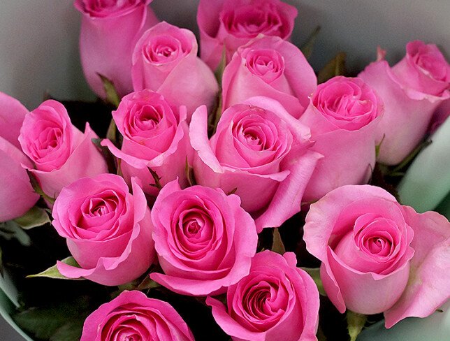 Bouquet of 15 pink roses, 50 cm photo
