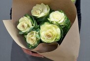 Букет из 5 зелёных брассик — фото 3