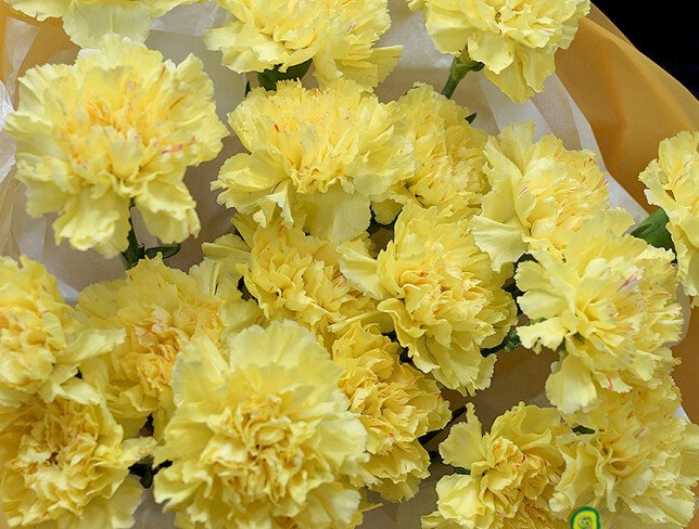 Buchet din 19 dianthus de culoare lamaie — foto 2
