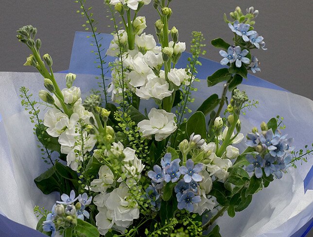 Buchet din matthiola albe si oxypetalum foto