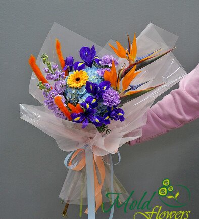 Buchet din strelitzia, hortensie si irisi „Accent exotic”