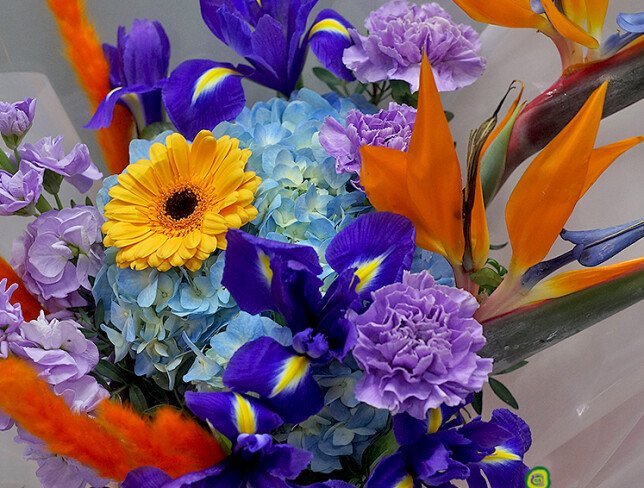 Buchet din strelitzia, hortensie si irisi „Accent exotic” — foto 2