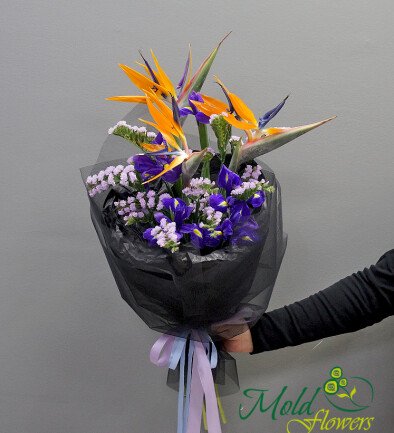Buchet exotic cu strelitzia si irisi violeti
