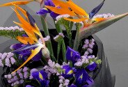 Buchet exotic cu strelitzia si irisi violeti — foto 4