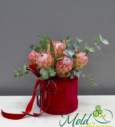 Velvet box with proteas “Exotic Harmony” photo 394x433
