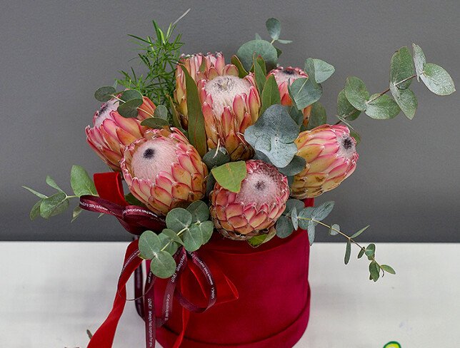 Cutie din catifea cu protea „Armonie exotica” foto