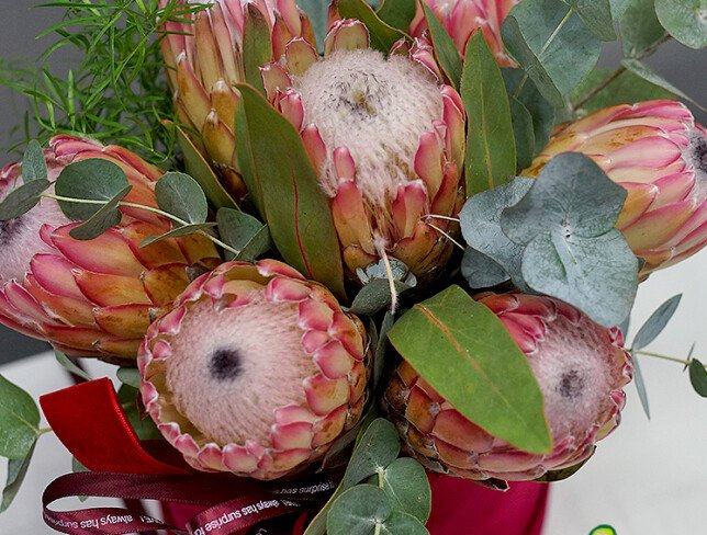 Cutie din catifea cu protea „Armonie exotica” foto