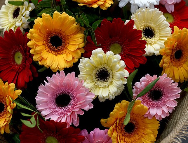 Bouquet of multicolored gerberas “Floral Kaleidoscope” photo
