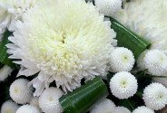 Buchet din crizanteme „Armonie de zapada” — foto 3