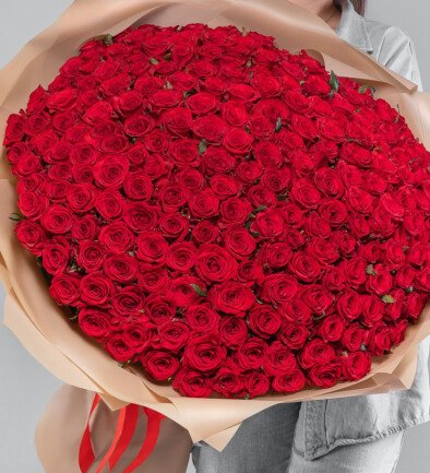 303 red roses 50 cm (pre-order, 10 days) photo 394x433