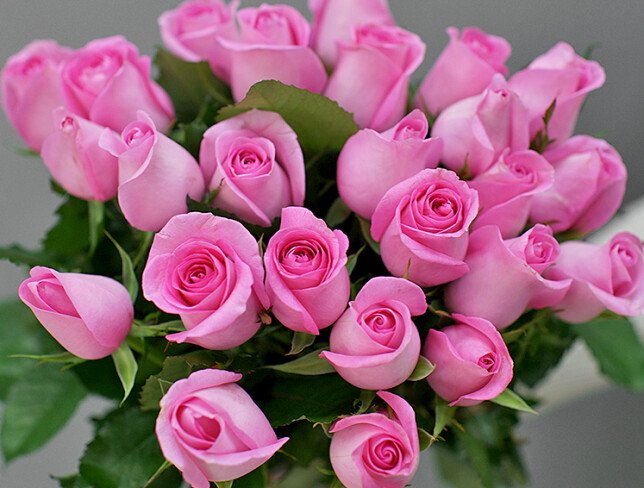 Роза розовая 40 см Фото