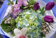 Buchet din hortensie albastra, lalele si matthiola — foto 4