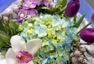 Buchet din hortensie albastra, lalele si matthiola — foto 2