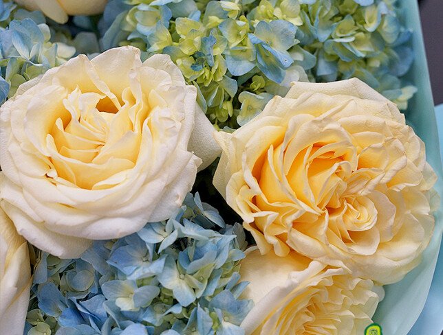 Buchet din 3 hortensii albastre si trandafiri Candlelight — foto 3