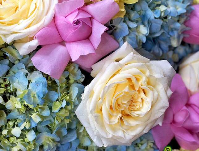 Hydrangea, Rose & Carnation Tenderness — photo 5