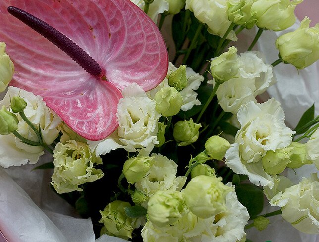 Buchet din eustome albe si anthurium roz foto