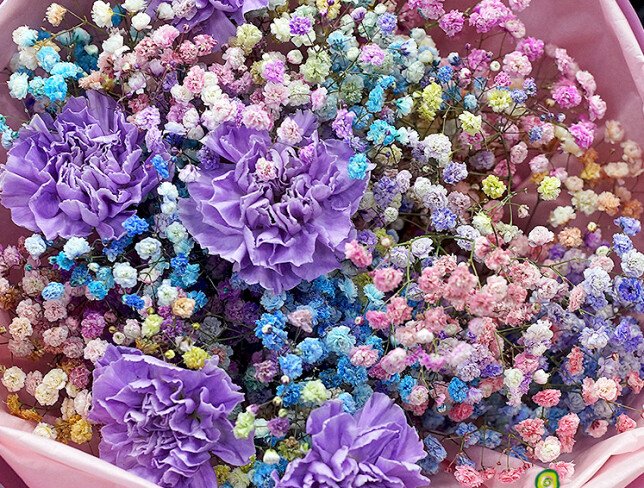 Bouquet of multicolored gypsophila and purple carnations photo