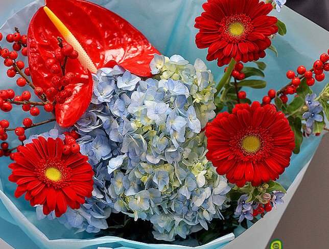 Bouquet of blue hydrangea, anthurium and gerberas “Emotions of Love” photo